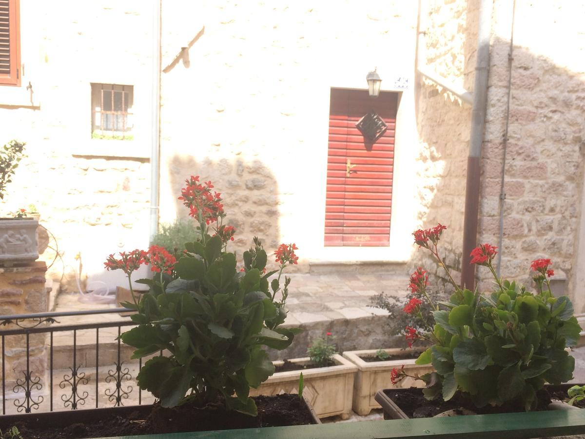 Apartment Ozana Kotor Exterior foto