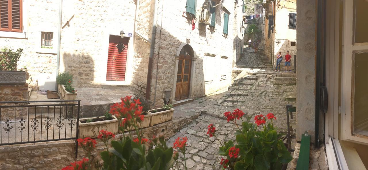 Apartment Ozana Kotor Exterior foto